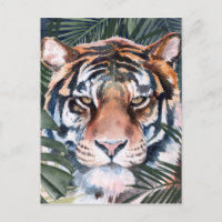 Jungle Cat - Tiger