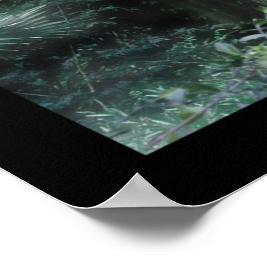 Jungle CyberShaman Poster (Ecke)