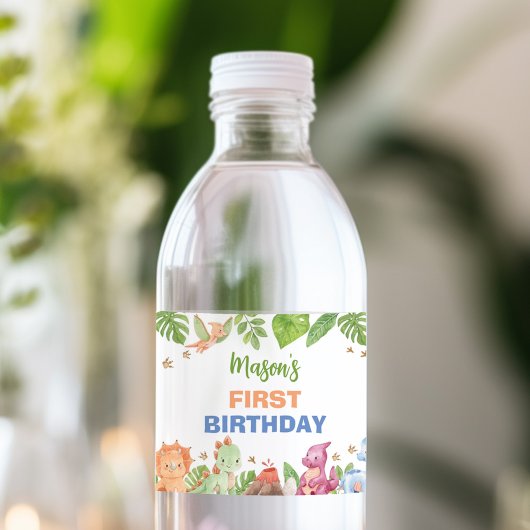 Jungle Dinosaur Boy Birthday Water Flasche Label Wasserflaschenetikett