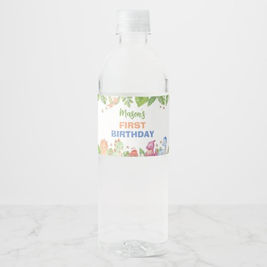 Jungle Dinosaur Boy Birthday Water Flasche Label Wasserflaschenetikett (Vorderseite)