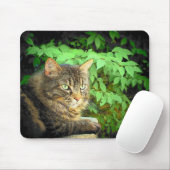 Jungle Dreams Mousepad (Mit Mouse)