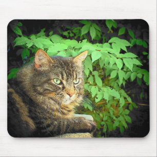 Jungle Dreams Mousepad