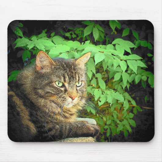 Jungle Dreams Mousepad (Vorne)