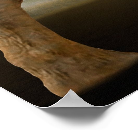 Jungle Elephant Holding Blume Poster (Ecke)