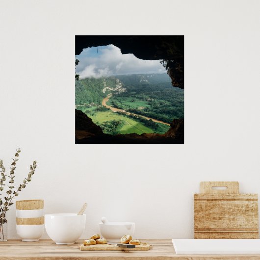 Jungle-Fenster Poster (Küche)