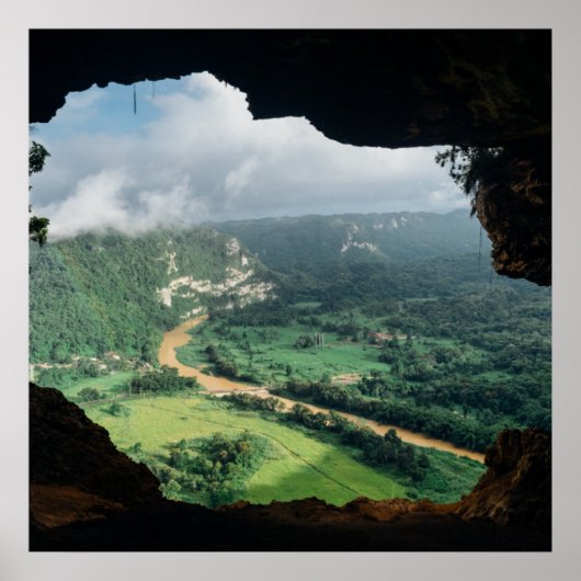 Jungle-Fenster Poster (Vorne)