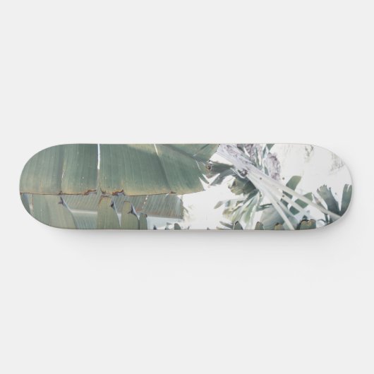 Jungle Finesse #1 #tropic #wall #art Skateboard (Horizontal)