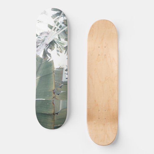 Jungle Finesse #1 #tropic #wall #art Skateboard (Vorderseite)