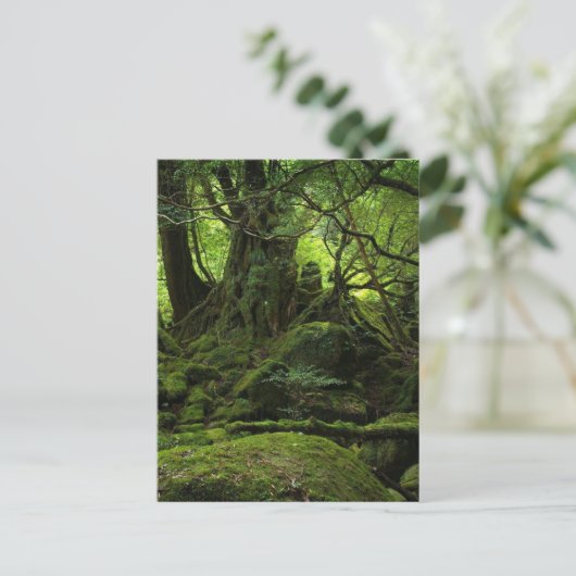 Jungle Forest of Moss Postkarte (Stehend Vorderseite)