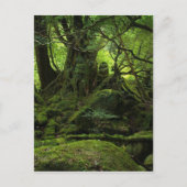 Jungle Forest of Moss Postkarte (Vorderseite)