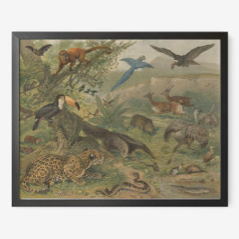 Jungle Jaguar und Tierfreunde Poster