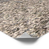 Jungle Jamie Poster (Ecke)