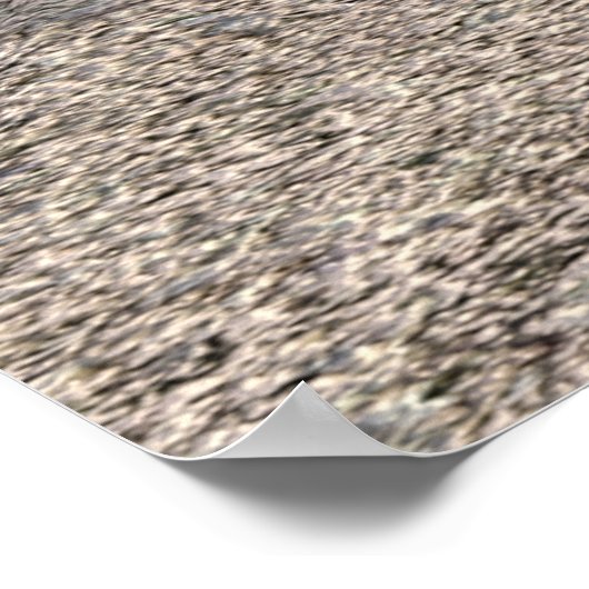 Jungle Jamie Poster (Ecke)