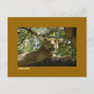 Jungle Jewels Postcard Postkarte