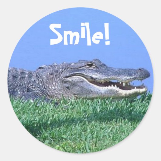 Jungle Jewels Stickers (Vorderseite)