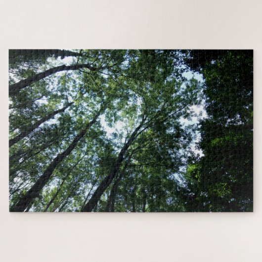 Jungle Jigsaw Puzzle (Horizontal)