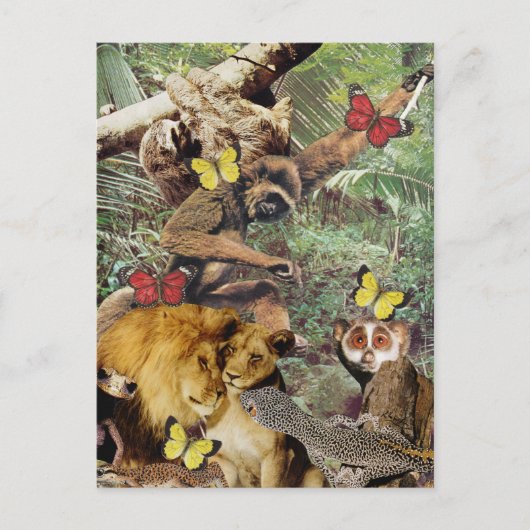 Jungle Jive Postcard Postkarte (Vorderseite)