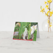 JUNGLE KITTY-HAPPY 30. SIS KARTE (Gelbe Blume)