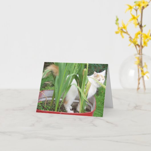 JUNGLE KITTY-HAPPY 30. SIS KARTE (Gelbe Blume)