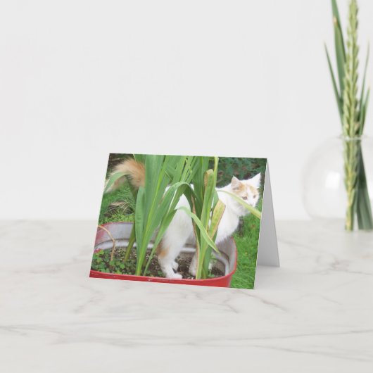 JUNGLE KITTY-HAPPY 30. SIS KARTE (Vorderseite)