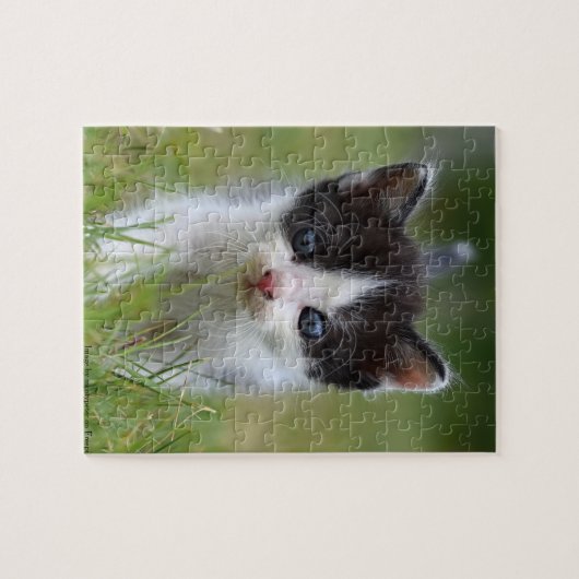 Jungle Kitty Puzzle (Horizontal)
