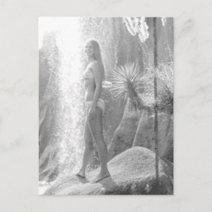 Jungle Land in Panama City Bikini Mädchen Foto Postkarte