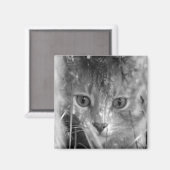 Jungle Legend B&W Magnet (Vorderseite/Rückseite)