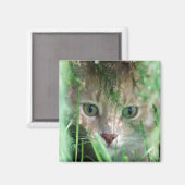 Jungle Legend Magnet (Vorderseite/Rückseite)