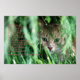 Jungle Legend Poster