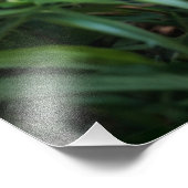 Jungle Leopard Fotodruck (Ecke)