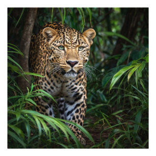 Jungle Leopard Fotodruck