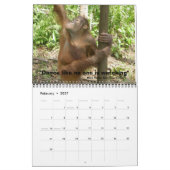 Jungle Lessons Wild Kalender (Feb 2027)