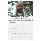 Jungle Lessons Wildlife Orangutans Kalender (Jan 2027)