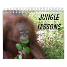 Jungle Lessons Wildtierkalender