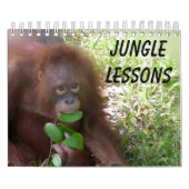 Jungle Lessons Wildtierkalender Kalender (Titelbild)