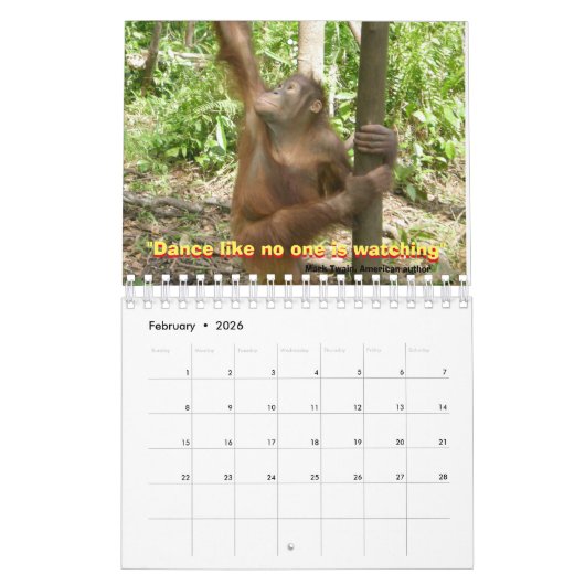 Jungle Lessons Wildtierkalender Kalender (Feb 2026)