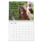 Jungle Lessons Wildtierkalender Kalender (Mär 2026)