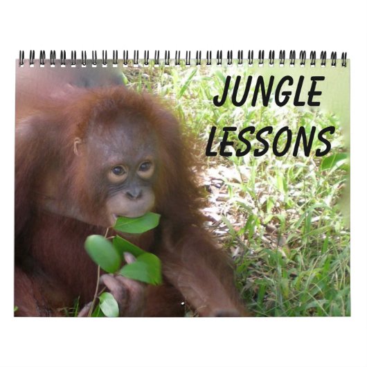 Jungle Lessons Wildtierkalender Kalender (Titelbild)