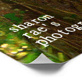 Jungle Poster (Ecke)