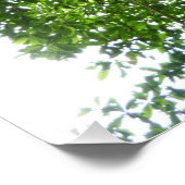 Jungle Ropes Rainforest Fotografie (Ecke)