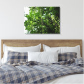 Jungle Ropes Rainforest Fotografie Leinwanddruck (Insitu (Schlafzimmer))