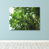 Jungle Ropes Rainforest Fotografie Leinwanddruck (Insitu (Holzboden))
