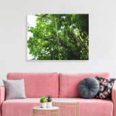 Jungle Ropes Rainforest Fotografie Leinwanddruck (Insitu (Wohnzimmer))