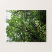 Jungle Ropes Rainforest Fotografie Puzzle (Horizontal)