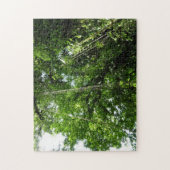 Jungle Ropes Rainforest Fotografie Puzzle (Vertikal)