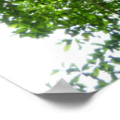 Jungle Ropes Tropical Rainforest Fotografie Poster (Ecke)