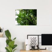 Jungle Ropes Tropical Rainforest Fotografie Poster (Heimbüro)