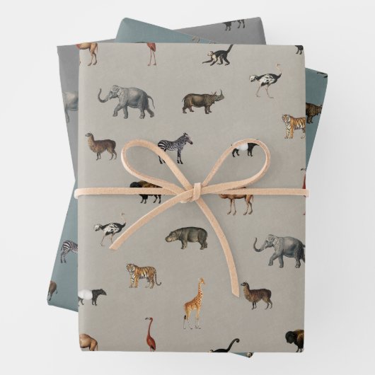 Jungle Safari Animals Pattern Blue Beige Grey Geschenkpapier Set (Beispiel)