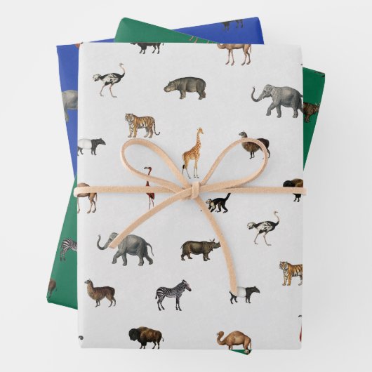 Jungle Safari Animals Pattern Blue Green Grey Geschenkpapier Set (Beispiel)