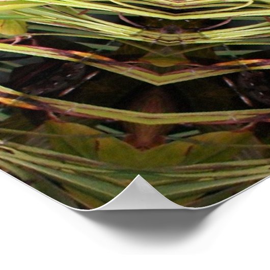 Jungle Shield Poster (Ecke)